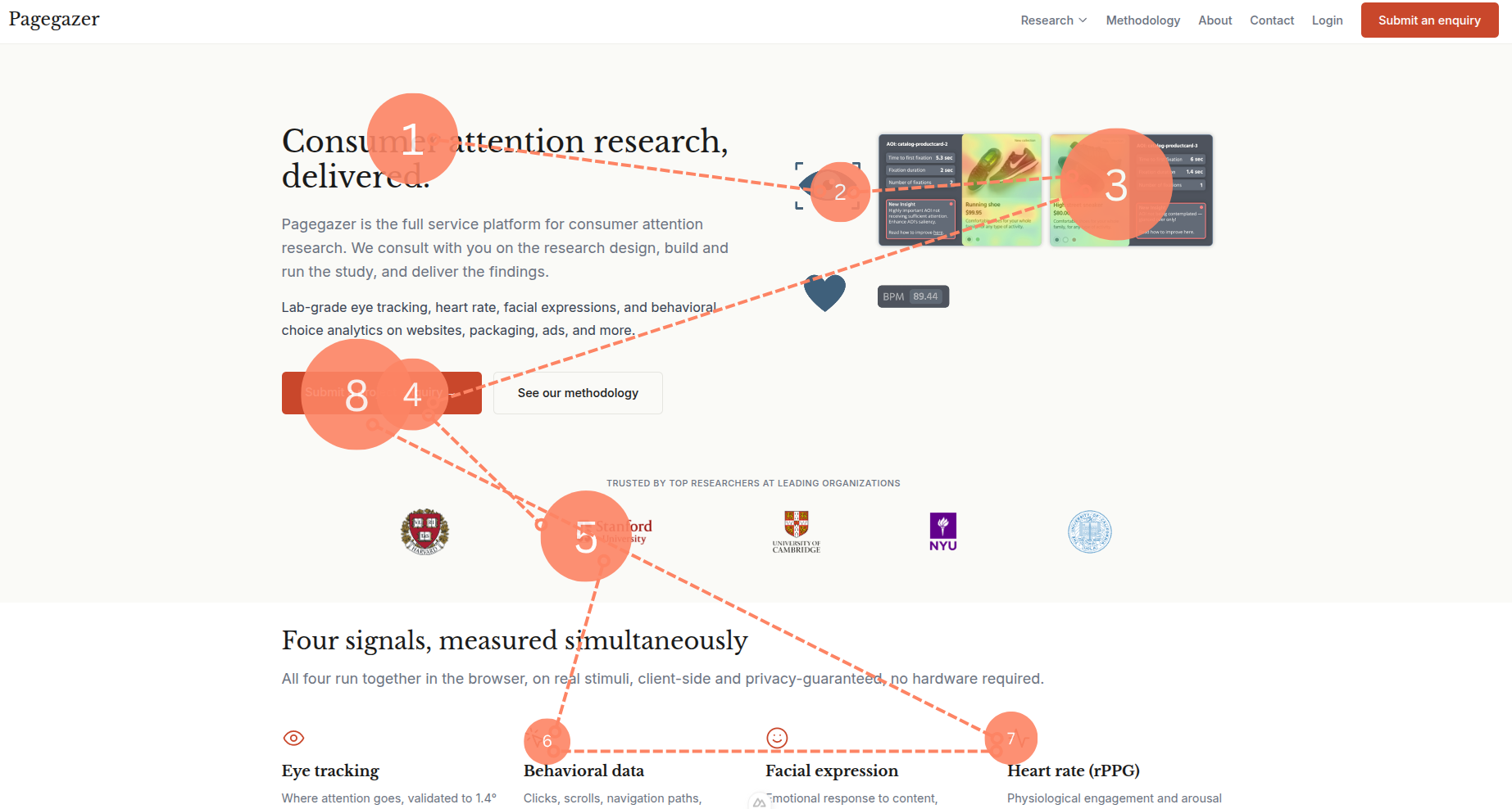 Eye tracking visualization example
